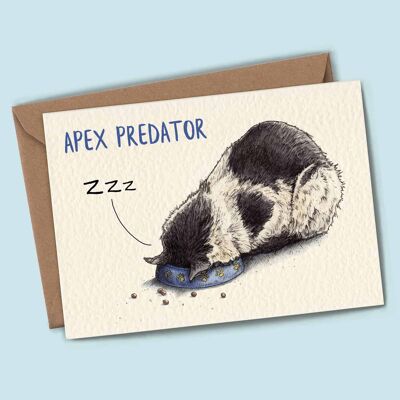 Apex Sleep Card