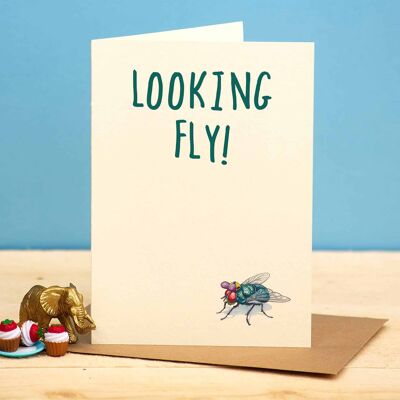 Cercando Fly Card Fly