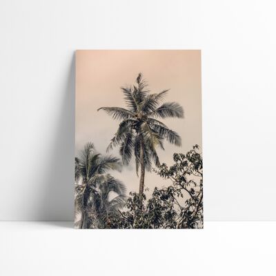 Poster 30x40 cm - Tropics Colors