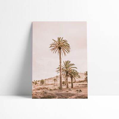 Poster 30x40 cm - Pink Oasis