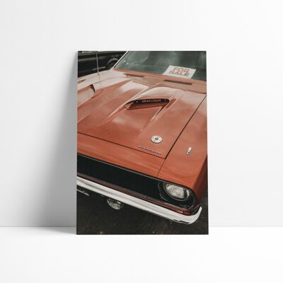 Poster 30x40 cm - American Dream in vendita, Parhump