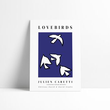 Affiche 30x40 cm –  Lovebirds fond bleu 1