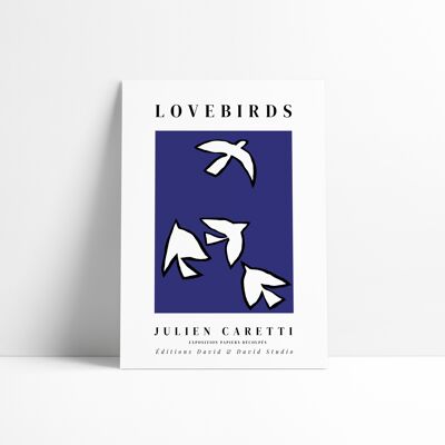 Poster 30x40 cm - Lovebirds blue background
