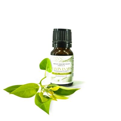 Ravintsara essential oil