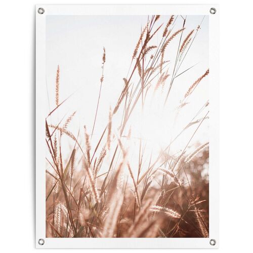 Outdoor Canvas Summer Grasses 60x80 cm