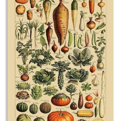 Tarjeta de Felicitación Vintage Verduras - Adolphe Millot