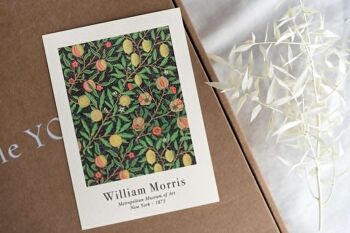 Carte de Voeux William Morris - Motif de Fruits 2