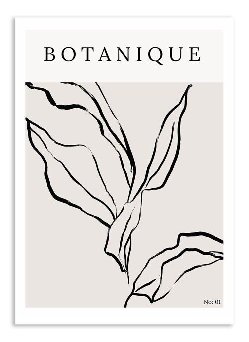 Postcard Botanical Plants - No. 1