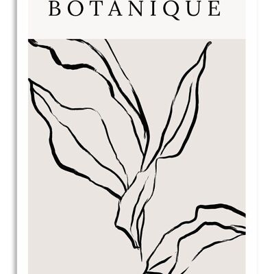 Postcard Botanical Plants - No. 1