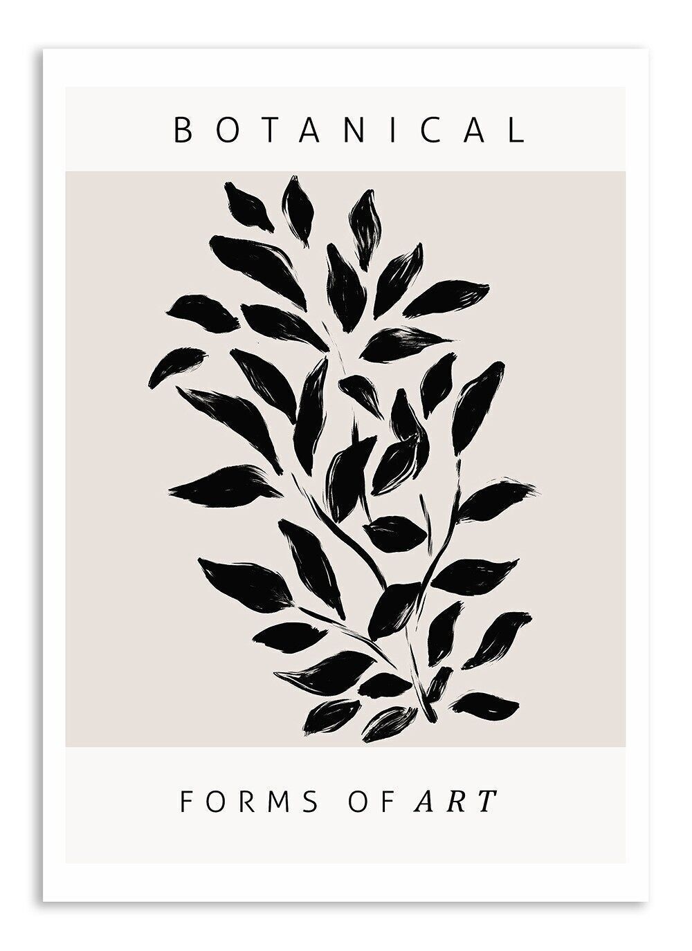 Cartolina Botanica Forme d'Arte - n. 2
