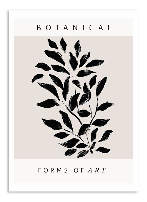 Postcard Botanical Forms of Art - No. 2