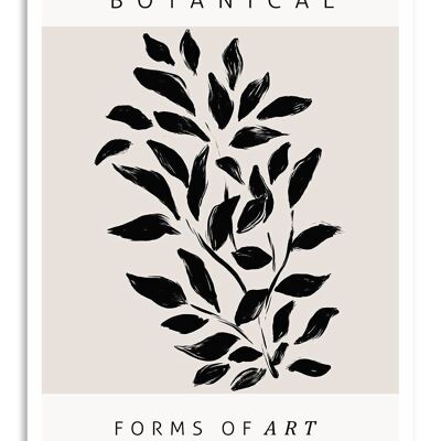 Postcard Botanical Forms of Art - No. 2