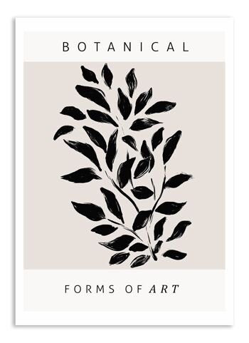 Carte postale Botanical Forms of Art - No. 2 1