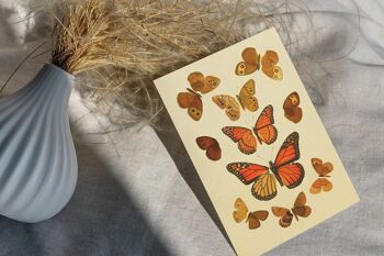 Carte Postale Vintage Papillons 2