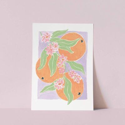 Stampa artistica di arance | Arte della parete | Frutta botanica Arte A4