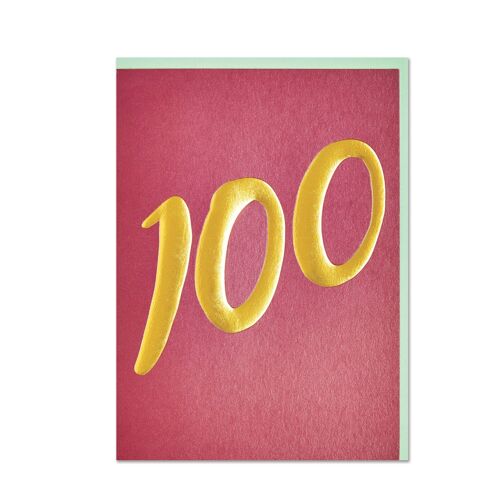 Age 100 Birthday Card , WHM69