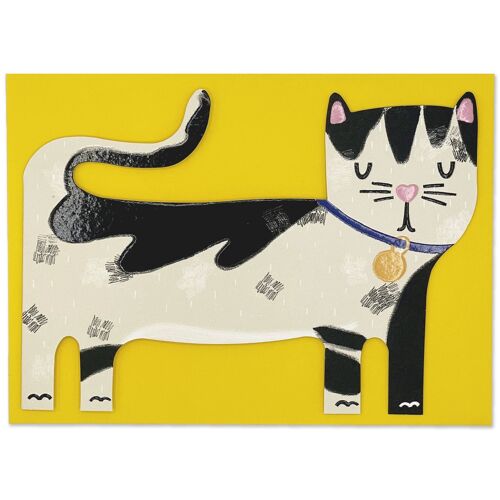 Black and White Cat card , PAW05