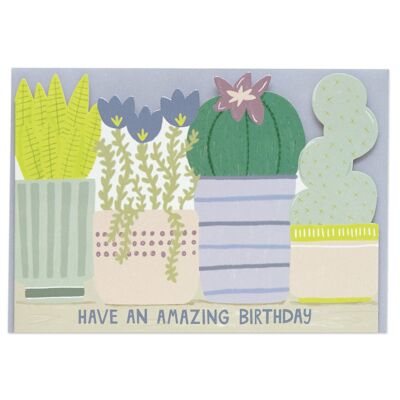 Have an amazing Birthday' card , POP28