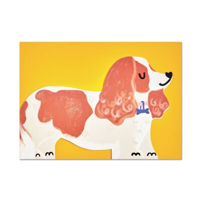 Carta di King Charles Spaniel, PAW24