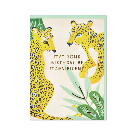 May your Birthday be Magnificent' card , WIL02