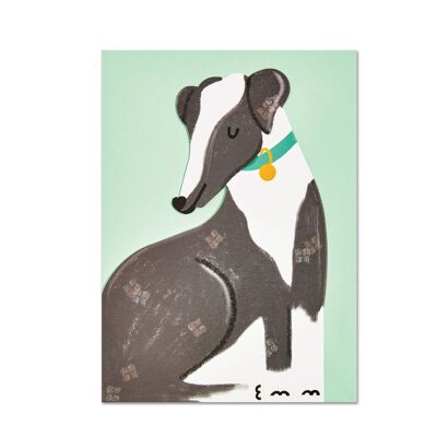 Tarjeta de perro Whippet, PAW26