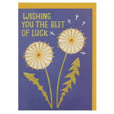 Wishing you the best luck' card , REF07