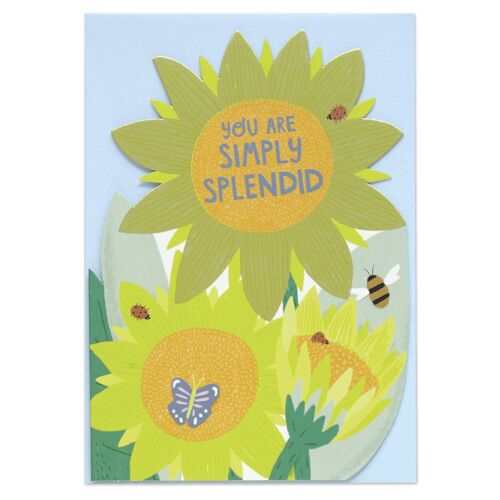 You are simply splendid' card , POP26