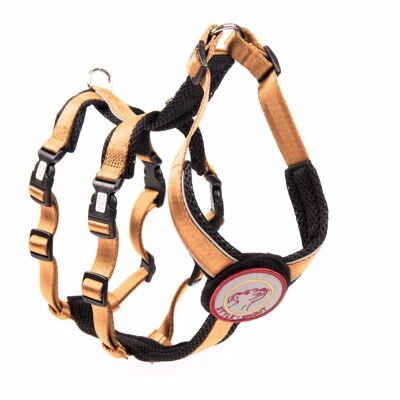 Safety Harness - Patch&Safe - Gold-Black - S - Dogs over 12kg/40cm