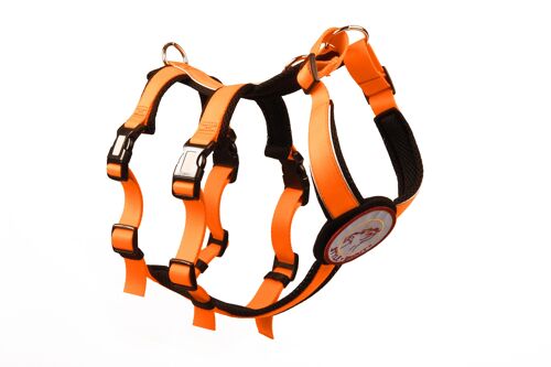 Sicherheitsgeschirr - Patch&Safe - Neon-Orange-Black - S - Hunde ab 12kg/40cm