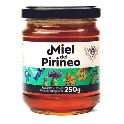 Pyrénées mountain honey 6x250g