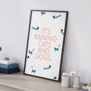 Il pleut des chats et des chiens imprimer 4