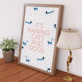 Il pleut des chats et des chiens imprimer 8