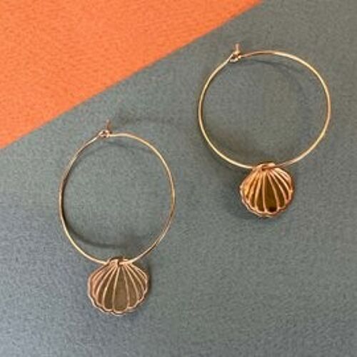 Shell golden hoops