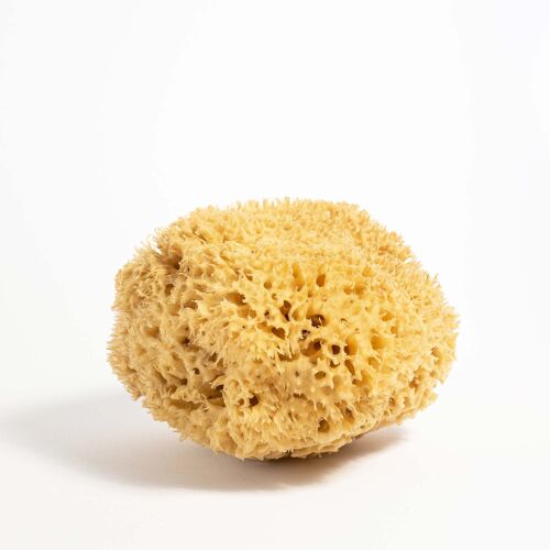 YOKU Natural Sea Sponge (Large)