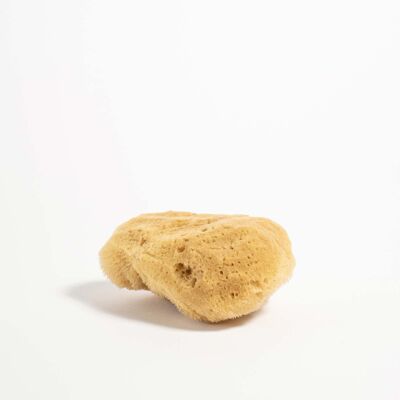 YOKU Natural Sea Sponge (Small)