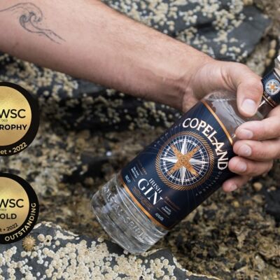 Gin irlandais traditionnel - IWSC 2022 "Meilleur gin contemporain au monde"