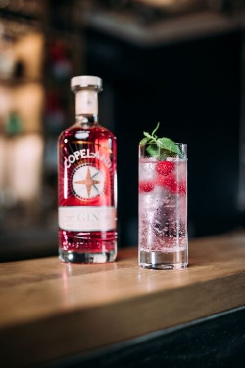 Raspberry & Mint Gin (raspberry & mint distilled gin)