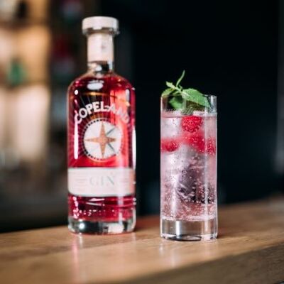 Raspberry & Mint Gin (gin distillé à la framboise et à la menthe)