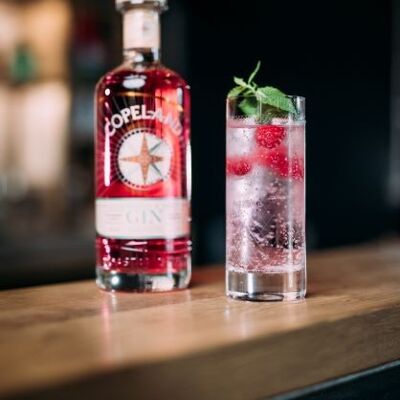 Raspberry & Mint Gin (ginebra destilada de frambuesa y menta)