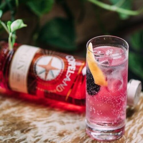 Rhuberry Gin (rhubarb & blackberry distilled gin) - TOP SELLER