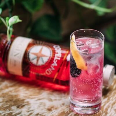 Rhuberry Gin (gin distillé à la rhubarbe et à la mûre) - TOP SELLER