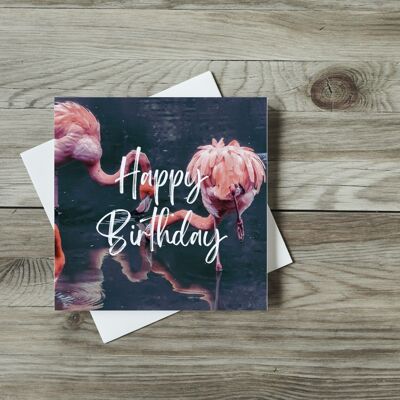 Happy Birthday Flamingoes