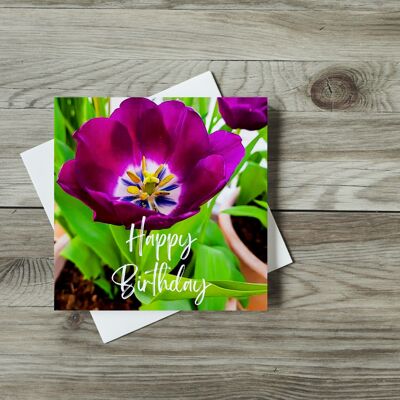 feliz cumpleaños tulipán