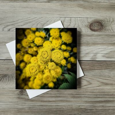 Fleurs jaunes heureuses