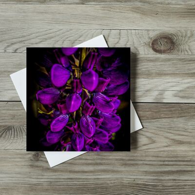 Purple Flowers