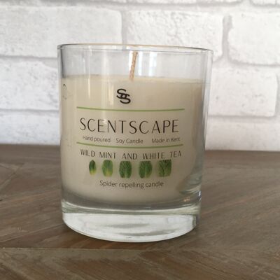 Wild mint and white tea - single wick candle