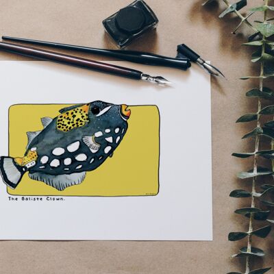 Cartolina e poster in carta acquerello - Pesce balestra pagliaccio - Decorazione murale - Illustrazione della natura e degli animali - Pittura con stampa d'arte