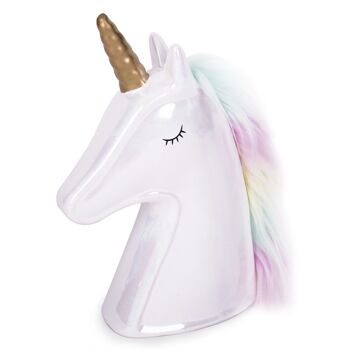 LICORNE MONNAIE COULEUR CHEVEUX HF 2