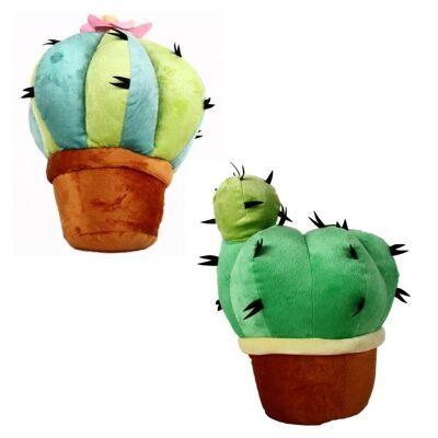 Cactus cushion hf