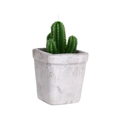 Cactus cement candles hf